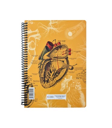 دفتر 100 برگ Science دات نوت طرح آناتومی قلب  dotnote