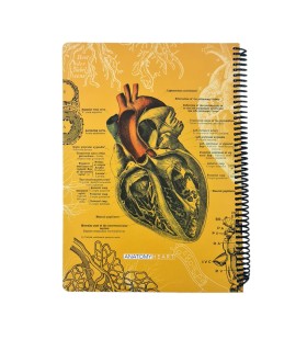 دفتر 100 برگ رحلی Science دات نوت dotnote طرح آناتومی قلب