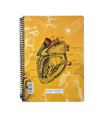 دفتر 100 برگ رحلی Science دات نوت dotnote طرح آناتومی قلب