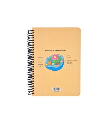 دفتر 100 برگ وزیری سیمی الیپون طرح biology