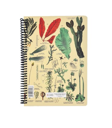 دفتر 100 برگ Science دات نوت طرح گیاه شناسی
