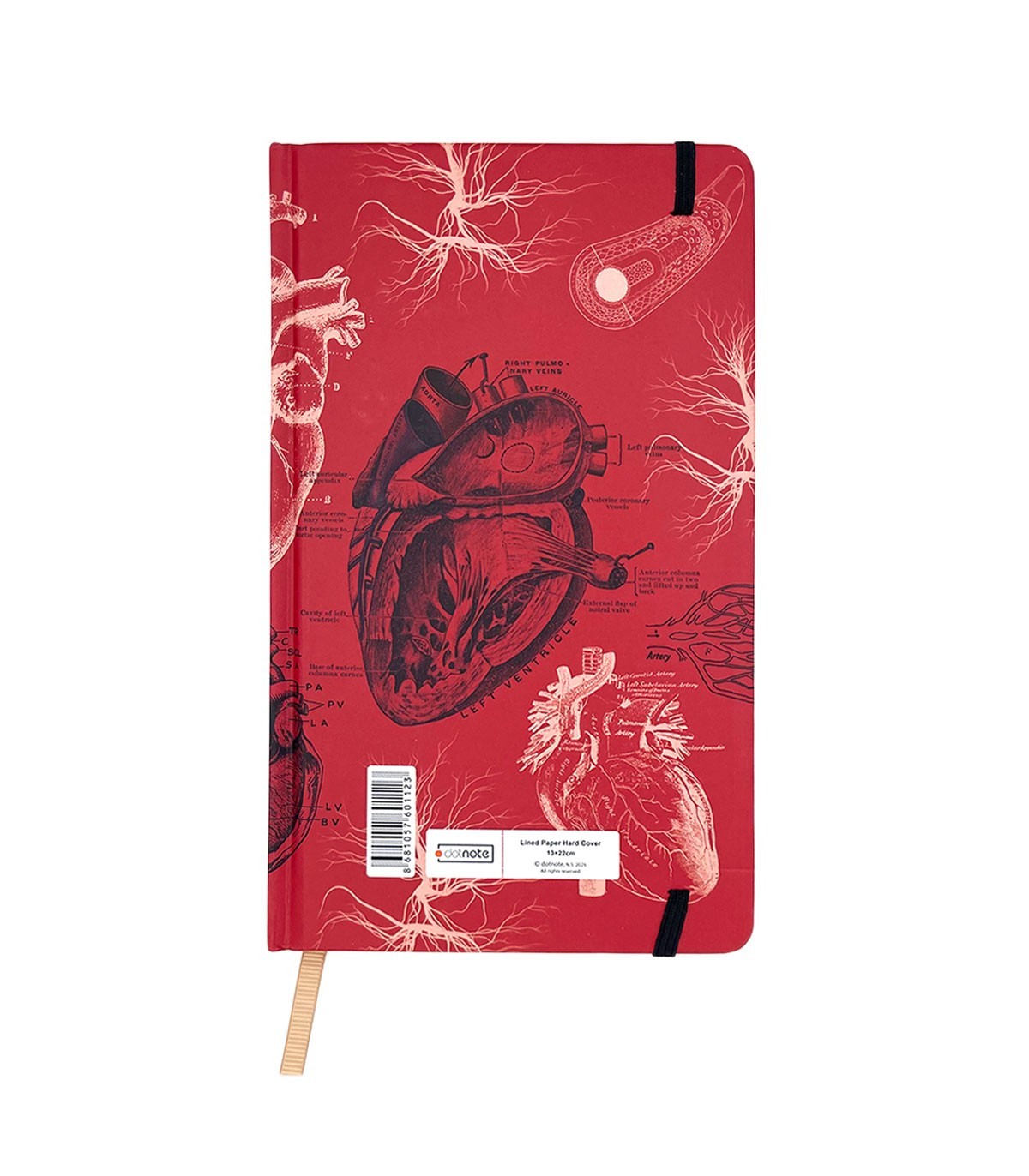دفتر اروپایی خط دار دات نوت - طرح آناتومی قلب