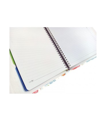 کلاسور 26 حلقه مستر نوت کد 29