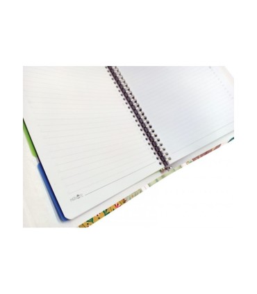 کلاسور 26 حلقه مستر نوت کد 09