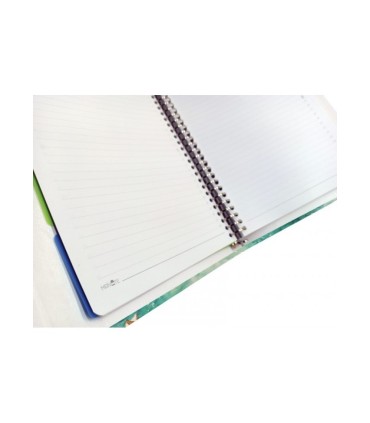 کلاسور 26 حلقه مستر نوت کد 33