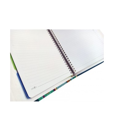 کلاسور 26 حلقه مستر نوت کد 18