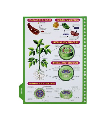 یدک دفتر کلاسور 26 حلقه دات نوت 100 برگ طرح My Science