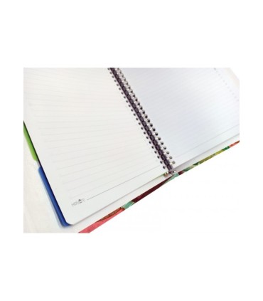 کلاسور 26 حلقه مستر نوت کد 20