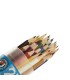 مداد رنگی 24 رنگی آریا کد 3052